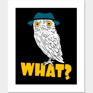 Funny Owl With Hat Hipster Bird Posters and Art